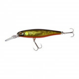 squirrel 61sp #gold&black