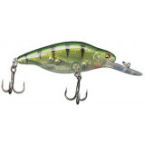 rattsler ml 65f #ft nk2