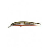 tuti 80sp #584