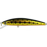 minnow 80sp #052