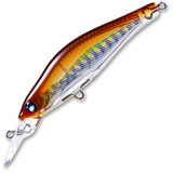 shad sr 65sp f957 #hhws
