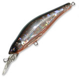 shad sr 65sp f957 #hts