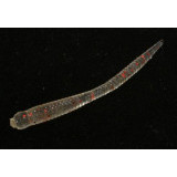 needle real fry2 #s824