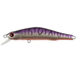 WATSON 80SP 049Z