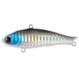  TsuYoki LORD 72S 413