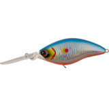 TsuYoki WIST 70F Y196M