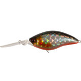 TsuYoki WIST 70F TS264