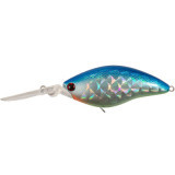 TsuYoki WIST 70F TS051H