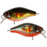 TsuYoki CHEF 32F 264W
