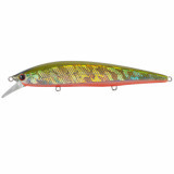 TsuYoki COLECTOR 110SP 435R
