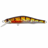 watson 80sp #123