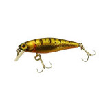 tiny fry 50sp #shining tiger