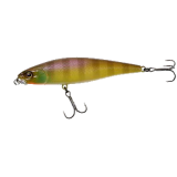 squad minnow 65sp noike gill