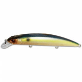 Tsuyoki Chance 130sp #207