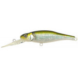 Live-X Margay tungsten gg oikawa (M)